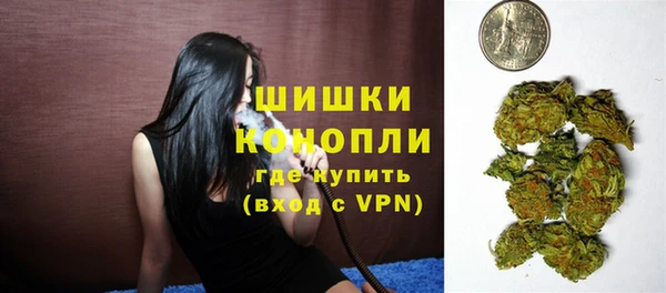 дмт Арсеньев