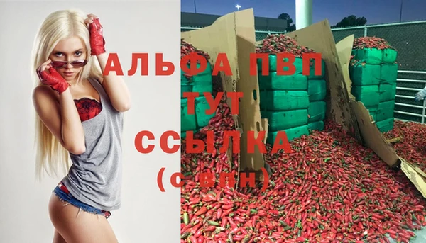 сатива Армянск