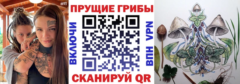 Галлюциногенные грибы GOLDEN TEACHER  Белорецк 