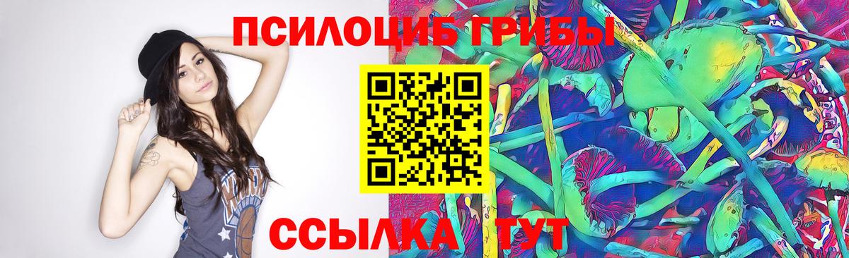Белорецк  Галлюциногенные грибы GOLDEN TEACHER  Вход с VPN 